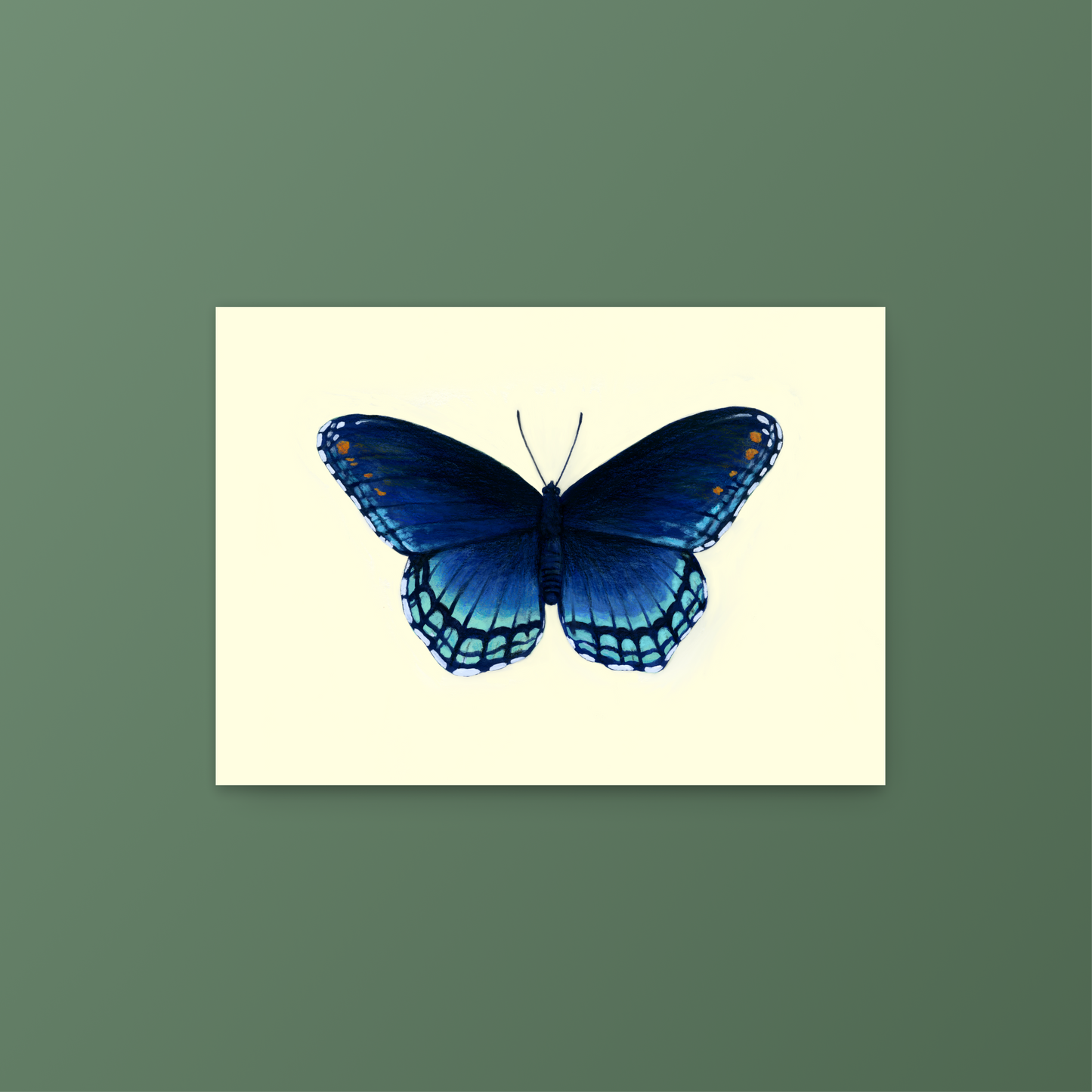 Red-Spotted Purple Butterfly Limenitis Arthemis Mini Art Print 7" x 5"