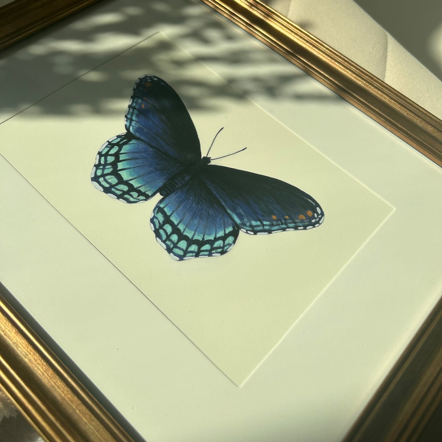 Red-Spotted Purple Butterfly Limenitis Arthemis Mini Art Print 7" x 5"