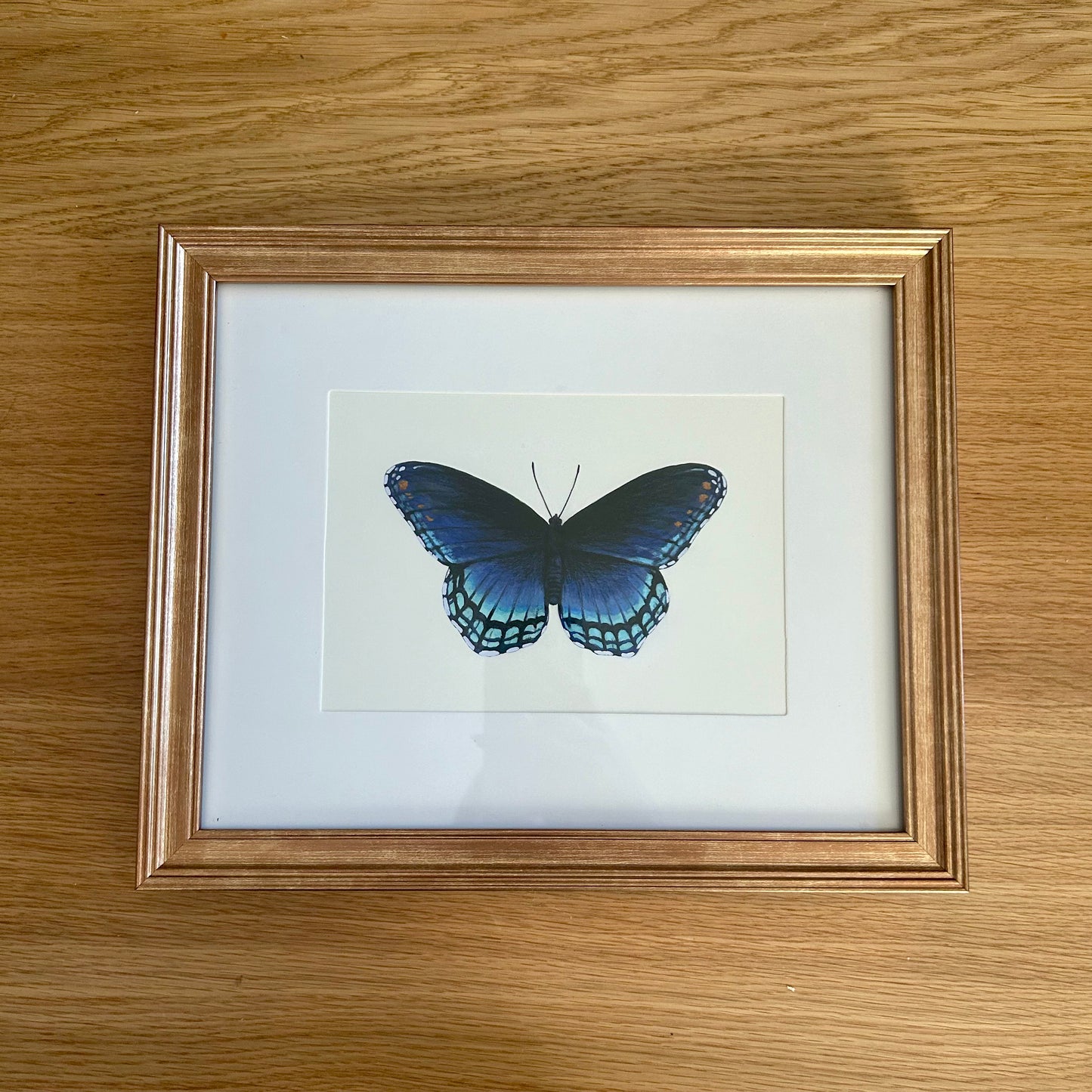 Red-Spotted Purple Butterfly Limenitis Arthemis Mini Art Print 7" x 5"