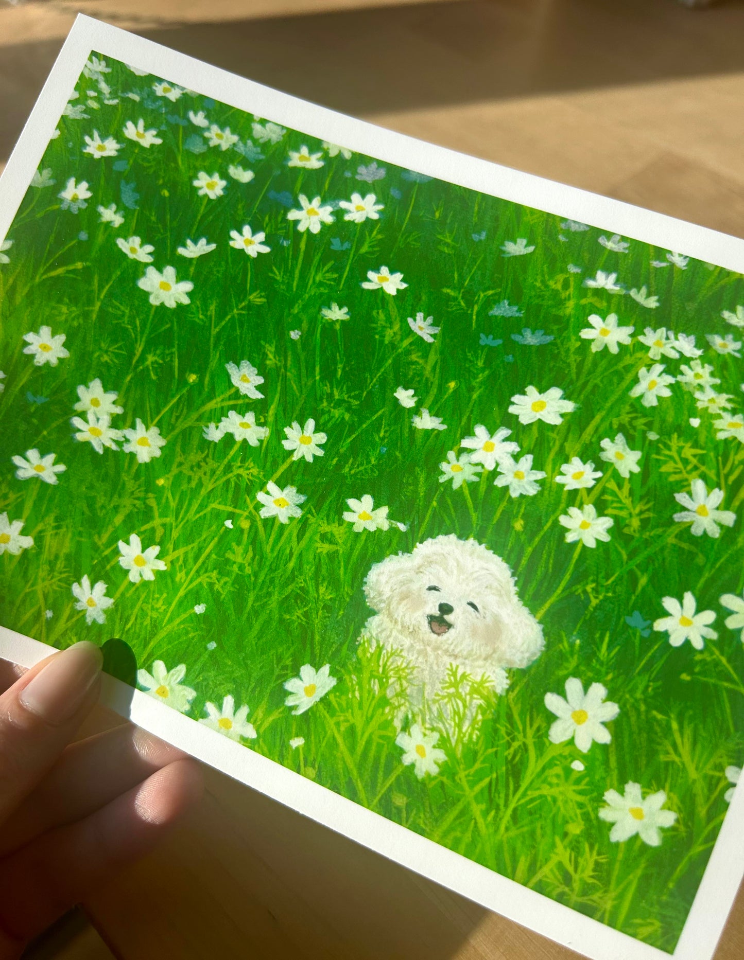 Puppy in a Field of Daisies Mini Art Print 7" x 5"