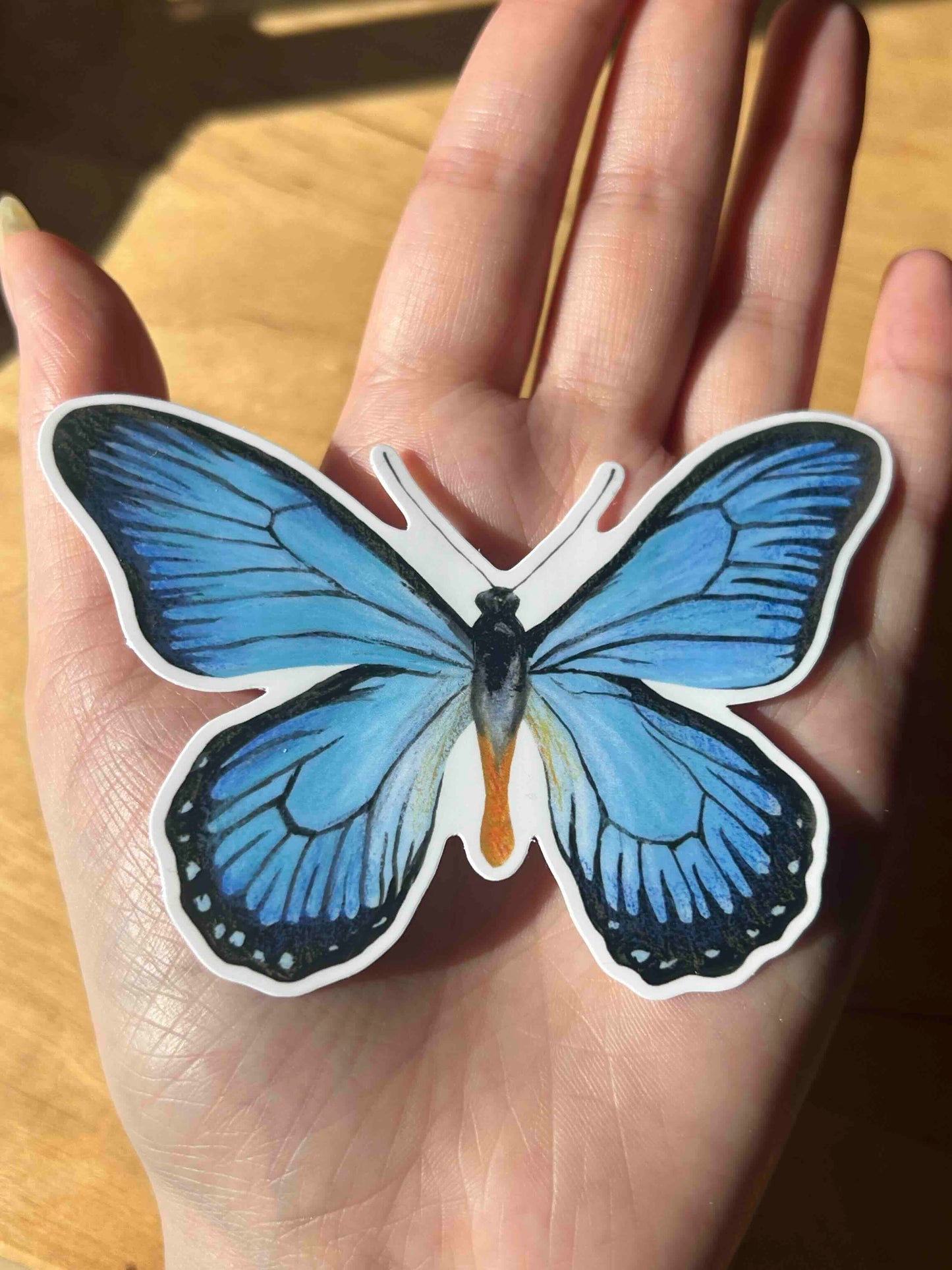 Set of 4 Butterfly Stickers Waterproof Vinyl Die-cut Stickers