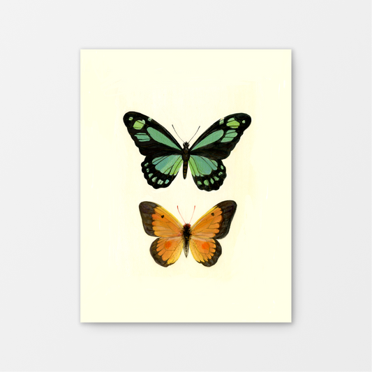 Butterfly no.1 Gouache Art Print 8.5 x 11