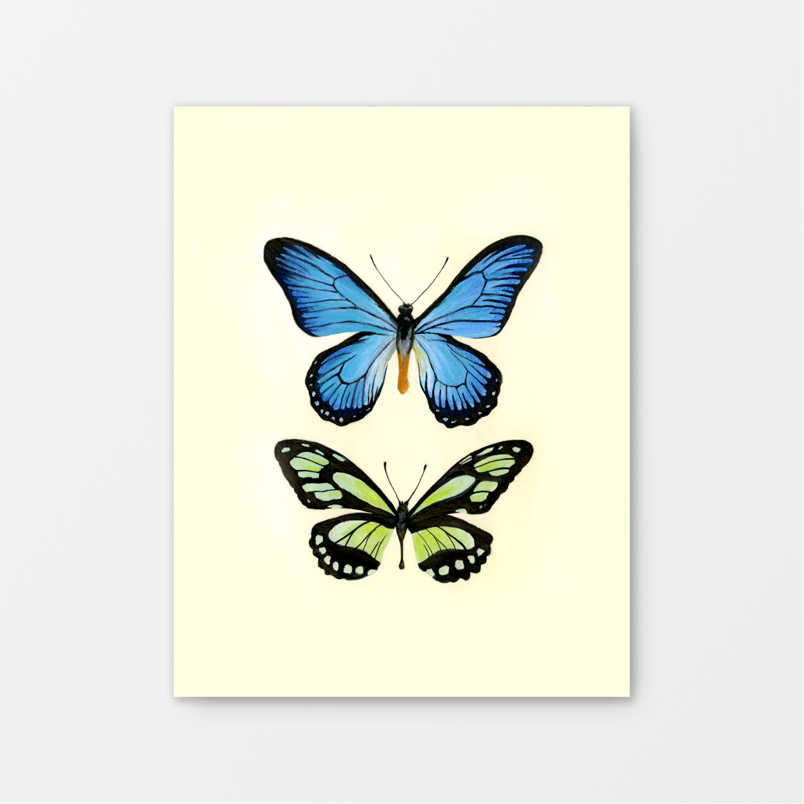 Butterfly no.2 Gouache Art Print 8.5 x 11