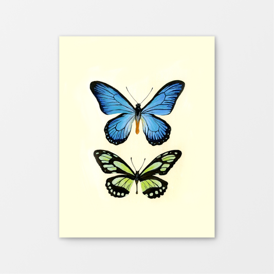 Butterfly no.2 Gouache Art Print 8.5 x 11