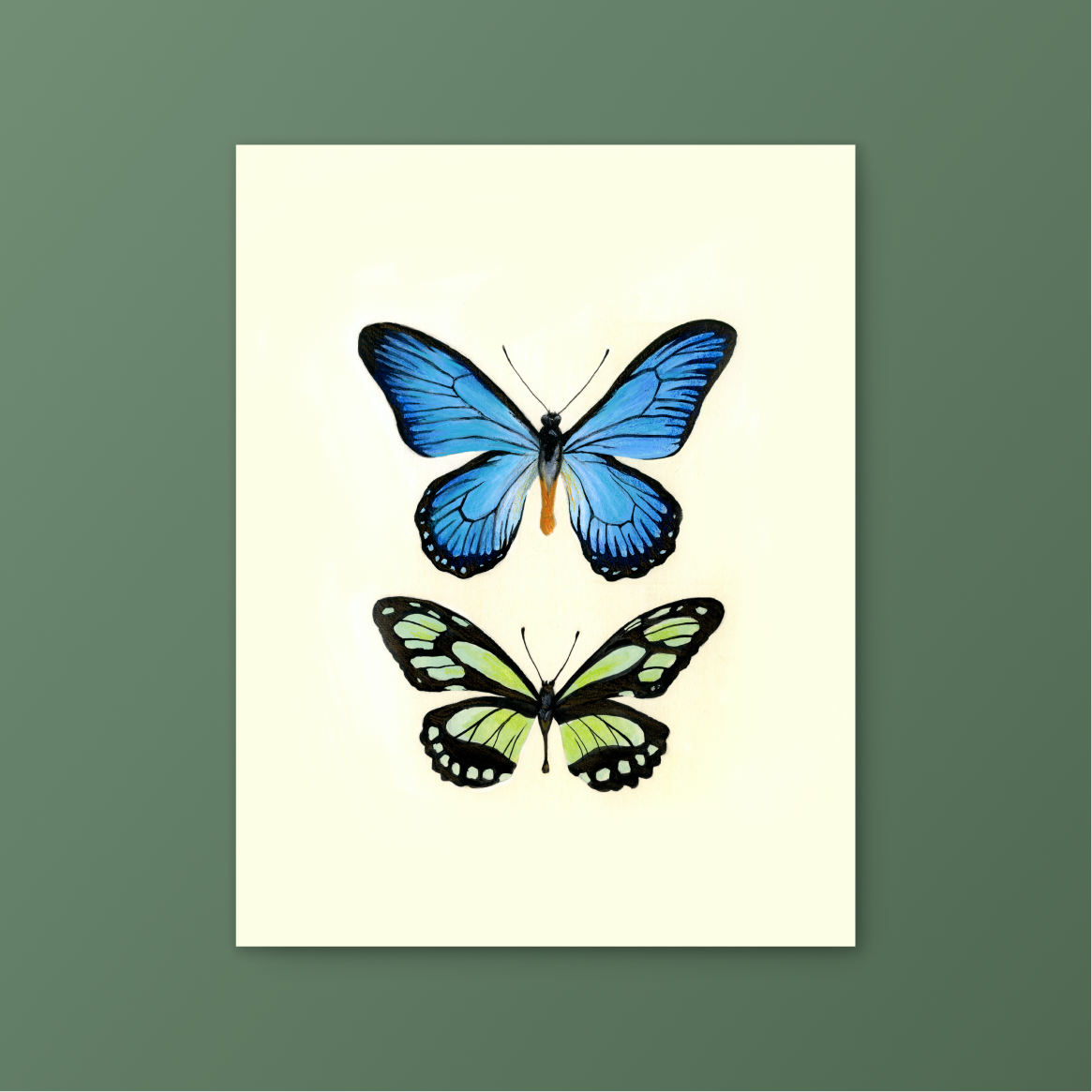 Butterfly no.2 Gouache Art Print 8.5 x 11