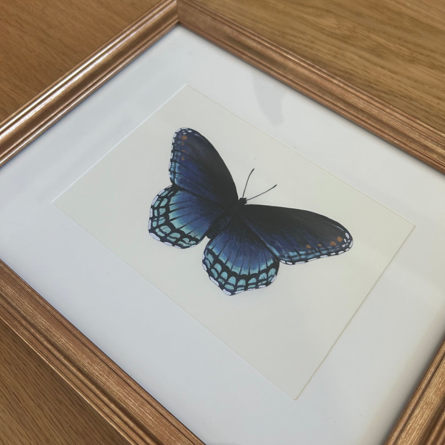Red-Spotted Purple Butterfly Limenitis Arthemis Mini Art Print 7" x 5"